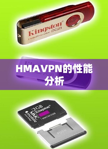 HMAVPN的性能分析