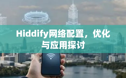 Hiddify网络配置,优化与应用探讨