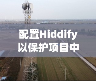 配置Hiddify以保护项目中的文件,可以遵循以下步骤