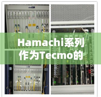 Hamachi系列作为Tecmo的经典战斗游戏系列,最新版本是Hamachi3.这款游戏延续了系列的经典玩法,同时加入了许多新元素和改进