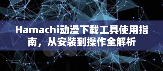 Hamachi动漫下载工具使用指南,从安装到操作全解析