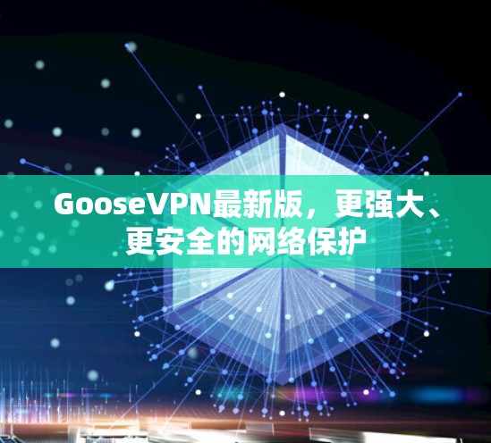 GooseVPN最新版,更强大、更安全的网络保护