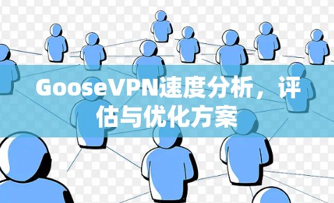 GooseVPN速度分析,评估与优化方案