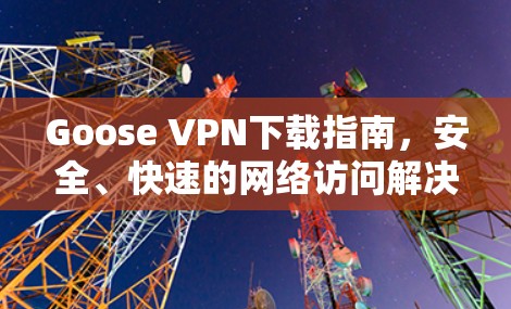Goose VPN下载指南,安全、快速的网络访问解决方案