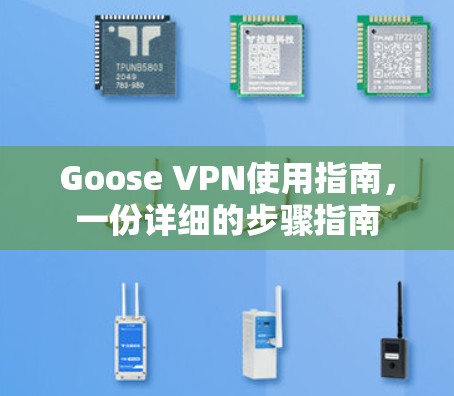 Goose VPN使用指南,一份详细的步骤指南