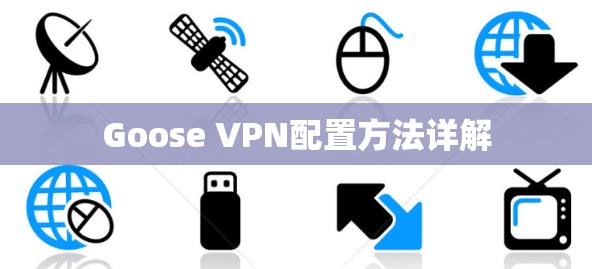 Goose VPN配置方法详解