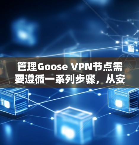 管理Goose VPN节点需要遵循一系列步骤,从安装到配置、维护再到故障排除,每一步都至关重要。以下是详细的步骤指南