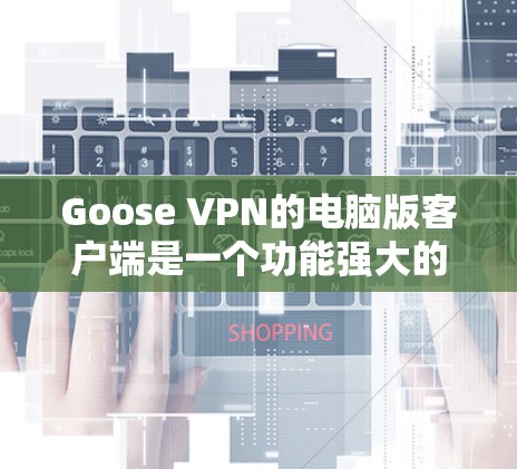 Goose VPN的电脑版客户端是一个功能强大的VPN工具,旨在帮助用户加密网络通信,保护隐私,并访问受限制的内容。以下是对该客户端的详细分析和总结