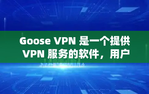 Goose VPN 是一个提供 VPN 服务的软件,用户可以通过它来保护隐私、匿名上网、绕过地区限制等。以下是 Goose VPN Windows 版本的配置指南