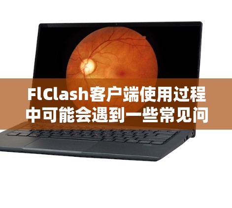 FlClash客户端使用过程中可能会遇到一些常见问题,以下是针对这些问题的详细解决方案