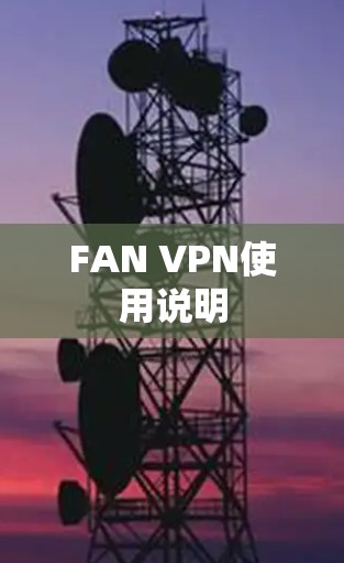 FAN VPN使用说明