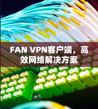 FAN VPN客户端,高效网络解决方案