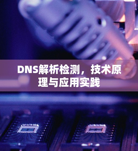 DNS解析检测,技术原理与应用实践