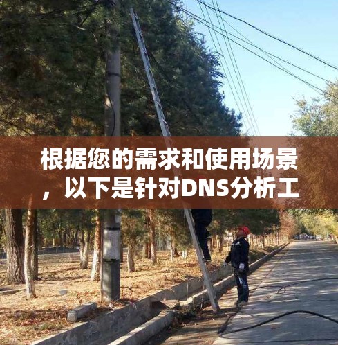 根据您的需求和使用场景,以下是针对DNS分析工具的分步建议