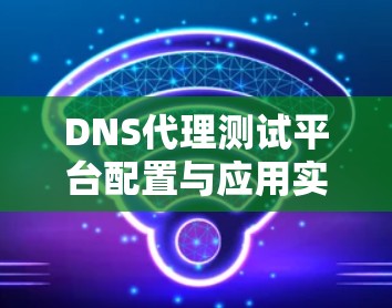 DNS代理测试平台配置与应用实践