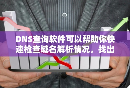 DNS查询软件可以帮助你快速检查域名解析情况,找出DNS记录或配置问题。以下是一些流行的DNS查询工具及其最新版本