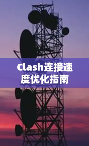 Clash连接速度优化指南