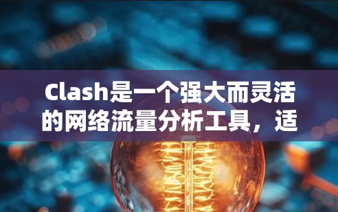 Clash是一个强大而灵活的网络流量分析工具,适合需要深入分析网络流量的用户。以下是使用Clash进行网络节点管理的分步指南